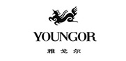 雅戈爾集團